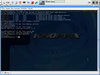 Palm Smaller Linux 0.1