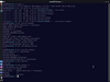 Pin Linux OS Beta