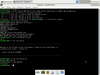 Proxmox Virtual Environment 6.0-1