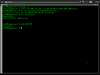 Puppy Linux 4.31