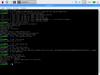 Raspberry Pi Desktop x86 2017-11-16 (stretch)