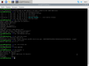 Raspberry Pi Desktop 2021-01-11