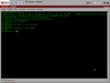 РУС-BSD 8.0.1 (Брест-2)