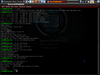 RhinoLINUX 8.0