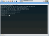 Siegfried Linux 2