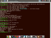 Simplicity Linux 19.10 X Alpha
