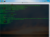 Sinclair Win7 Linux 20120222