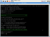 Slax-LFI 2.0 RC2
