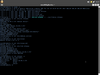 SlyBuntu 1.0
