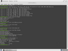 Snowlinux 4 (Frosty)