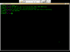 Server Optimized Linux 25.00