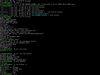 SteamFork 20240831.0837