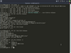 SwagArch GNU/Linux 18.12