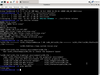 SystemRescue 7.0.0