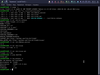 TileOS 1.0 (t-rex)