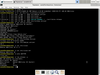Turnkey Linux 16.0