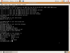 Ubuntu Extras Remix 8.10