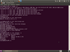 Ubuntu Furry Remix 10.04