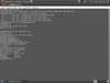 Ubuntu Go! 11.01 (исправленная)