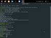 Ubuntu Web Remix 20.04.1