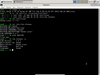 Venom Linux 20190327
