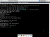Voyage Linux 0.11.0