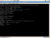 X/OS Linux 5.1 (Endeavour)