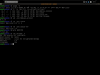 ZENIX GNU/Linux 2.0