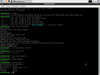 Zentyal 6.0 Server Development