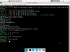 eLxr 12.0.1 (Aria)
