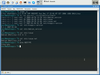 eduKnoppix 3.1 RC1