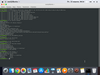 iBuntu 1.3 (Catalinux)