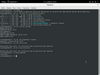 openEuler 20.03 (LTS)