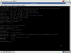 trixbox 1.1